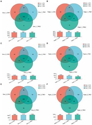 Bamboo fiber improves piglet growth performance by regulating the microbial composition of lactating sows and their offspring piglets